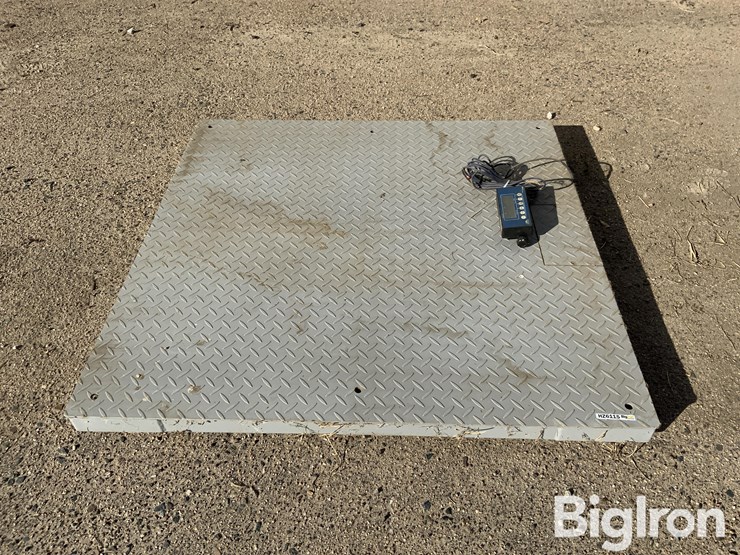 pallet-scale-image-2