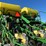 2004-john-deere-1790-image-33