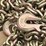 (8)-3/8”-x-20’-grade-70-transport-chains-with-ratchet-binders-image-9