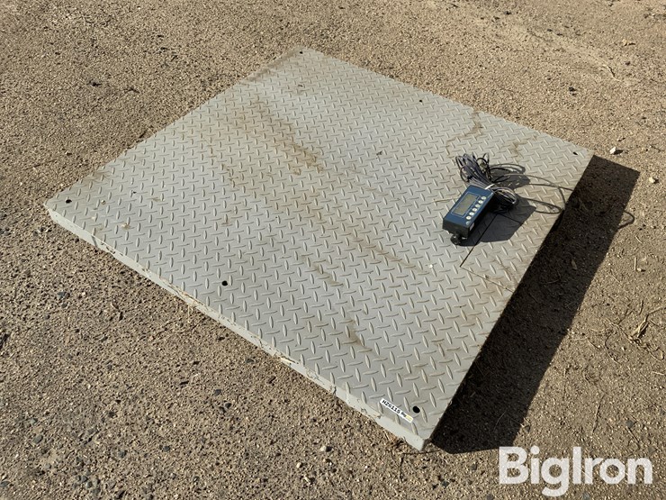 pallet-scale-image-1