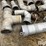 irrigation-pipe-fittings-image-14