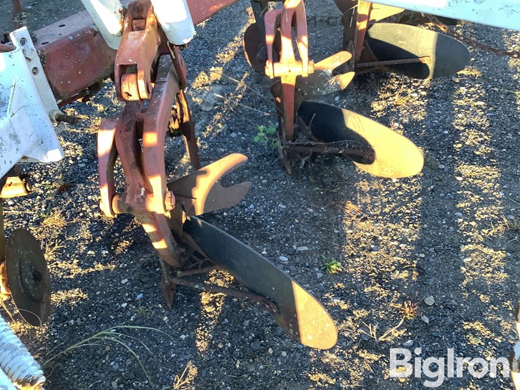 international-720-image-20