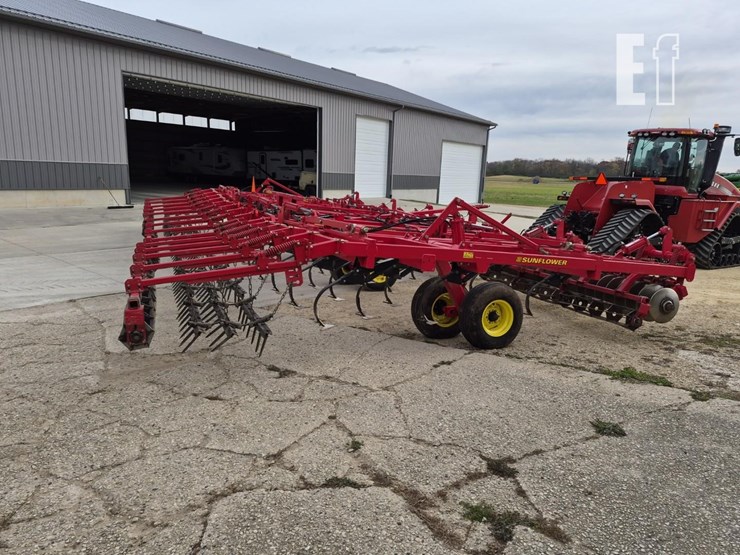 sunflower-6433-40-image-13