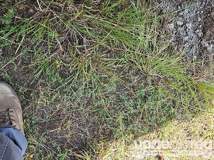 ingersoll-rand-lm500c-image-38