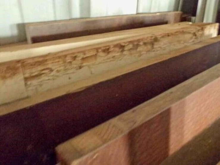 10-+-assorted-doors-image-5