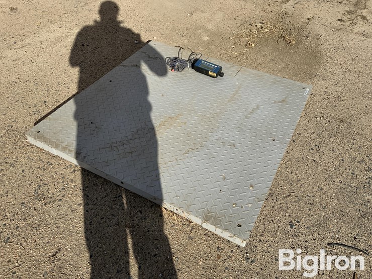 pallet-scale-image-3