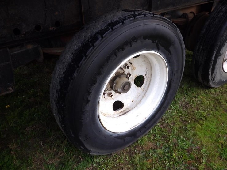 great-dane-48-image-19