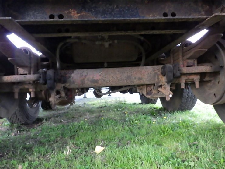 great-dane-48-image-14