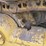 caterpillar-d6e-image-22