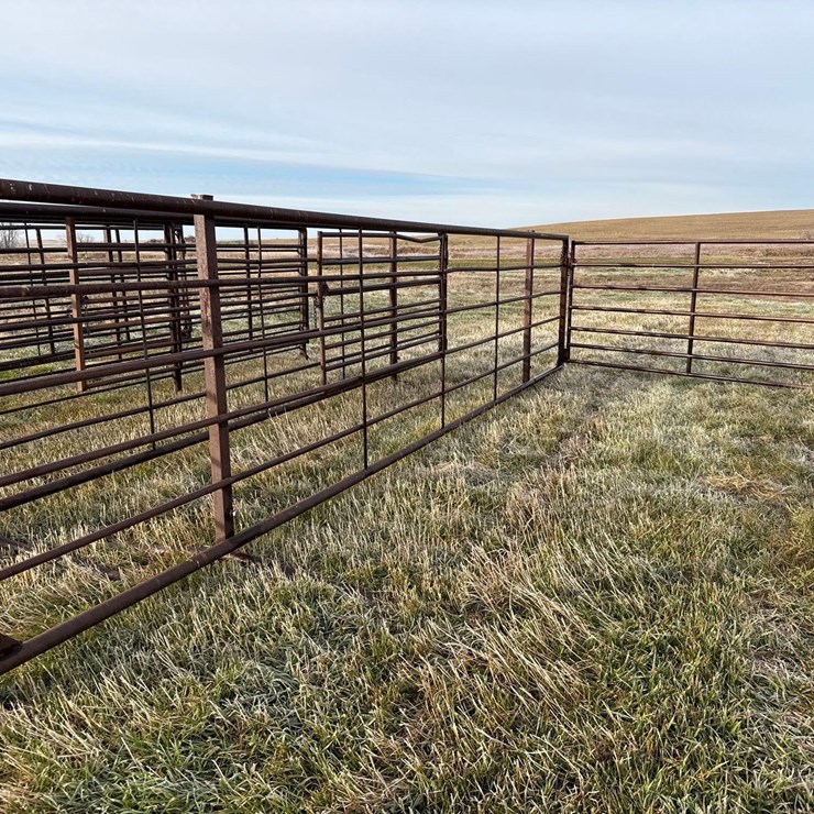 Freestanding Panel with Gate