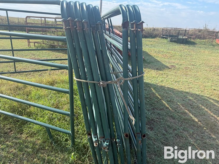 12'-cattle-panels-image-10