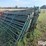 12'-cattle-panels-image-3