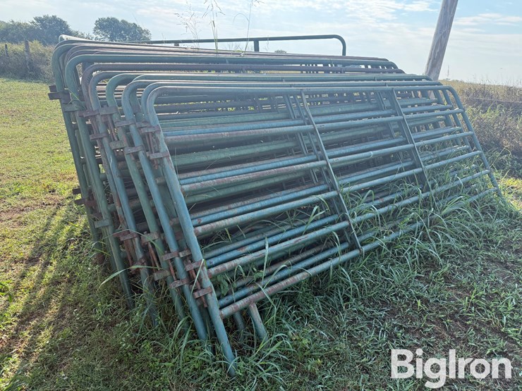 12'-cattle-panels-image-1