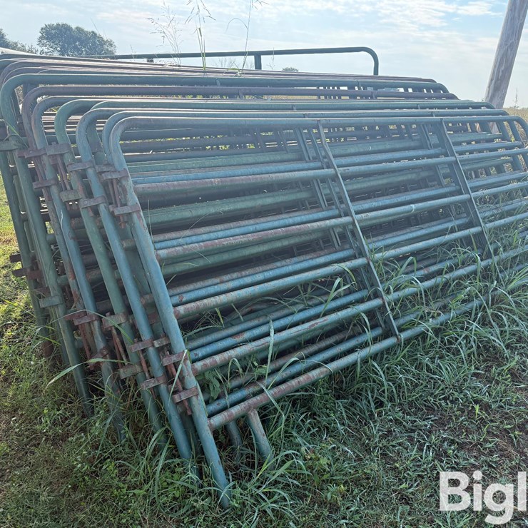 12' Cattle Panels
