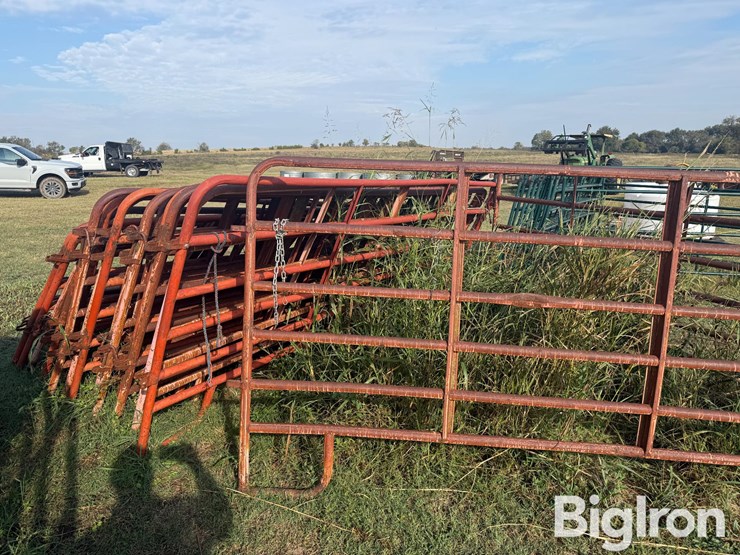 12'-cattle-panels-image-4