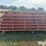 12'-cattle-panels-image-2