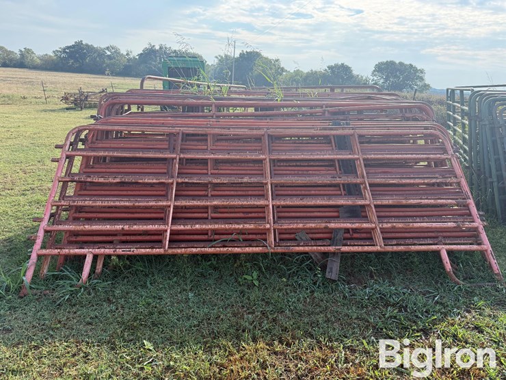 12'-cattle-panels-image-2