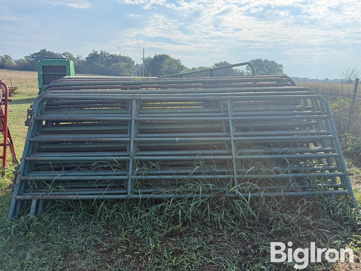12'-cattle-panels-image-2