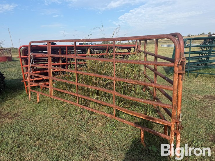 12'-cattle-panels-image-5