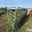 12'-cattle-panels-image-6