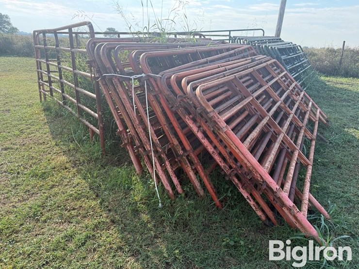12'-cattle-panels-image-1