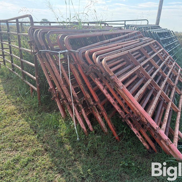 12' Cattle Panels