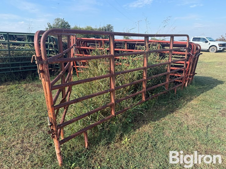 12'-cattle-panels-image-6