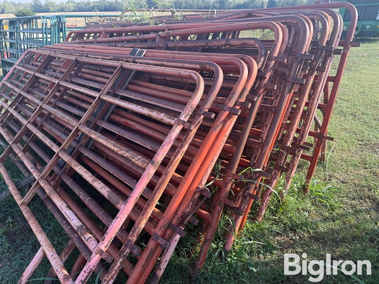 12'-cattle-panels-image-8