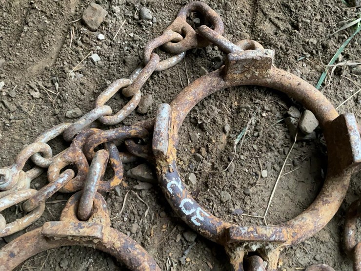 #302-•-skidder-bearclaw-tire-chains-image-6