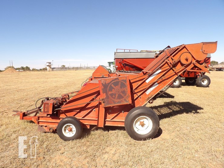 bermuda-king-6-row-image-2