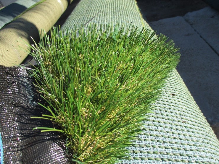 unused-roll-of-artificial-turf-image-4