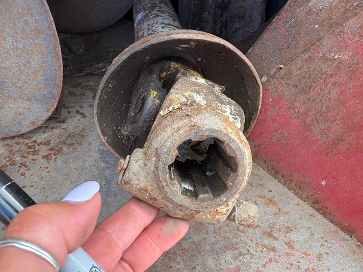 international-56-image-5