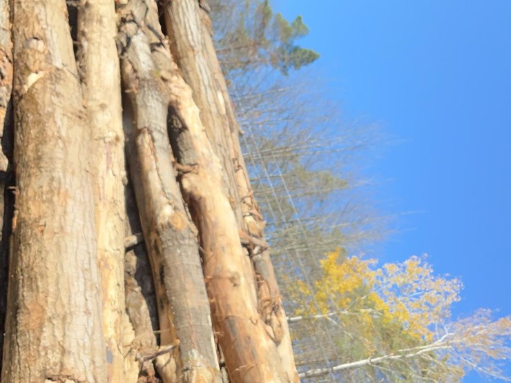 1998-jcb-506c-image-17