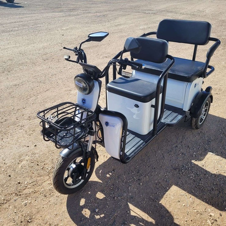 Massimo Electric Trike