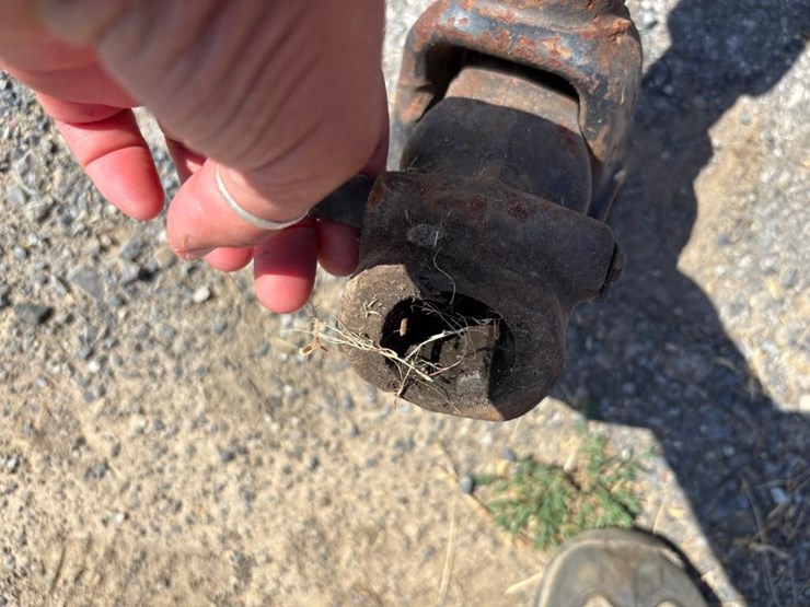 new-idea-484-image-5