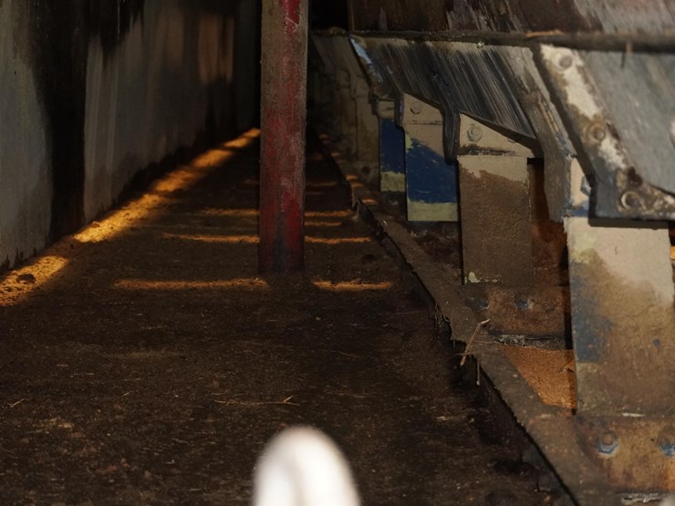 #137-•-vibrating-conveyor-image-15