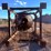stedman-52"-portable-cage-mill-image-24