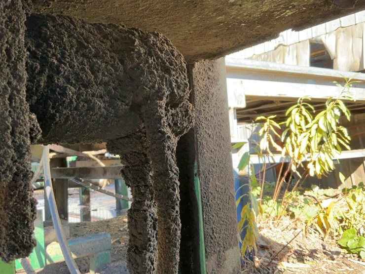 #130-•-outfeed-log-trough-with-kickers-image-6