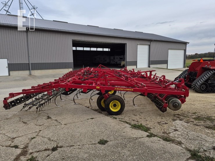 sunflower-6433-40-image-12