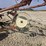 #5835-•-pull-type-10-wheel-v-rake-image-7