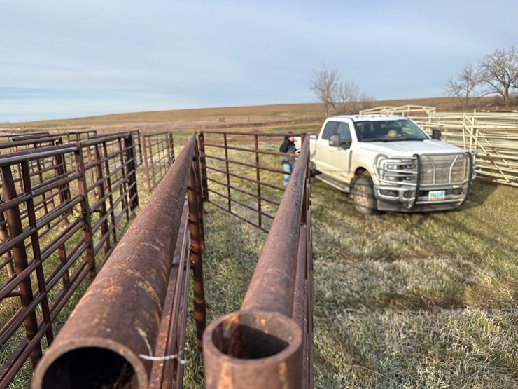 freestanding-panel-with-gates-image-6