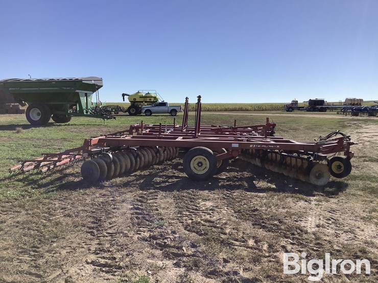 sunflower-1434-26-image-4