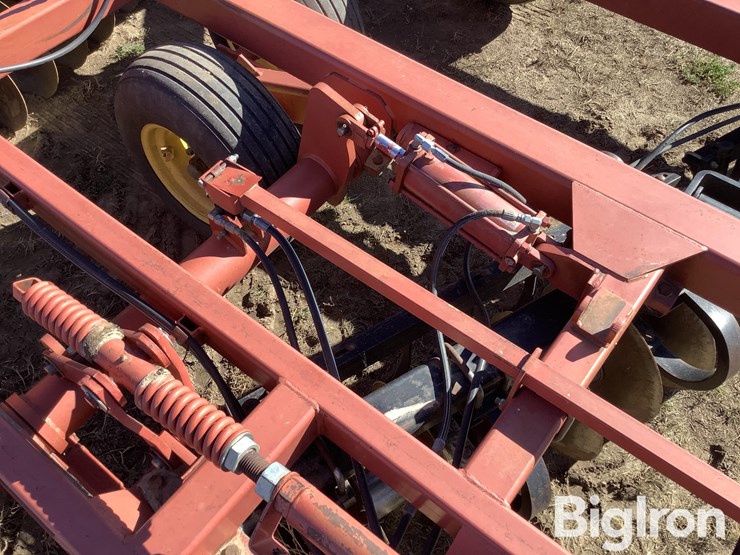 sunflower-1434-26-image-20