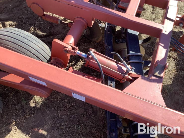 sunflower-1434-26-image-19