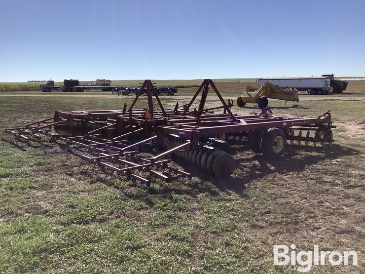 sunflower-1434-26-image-5