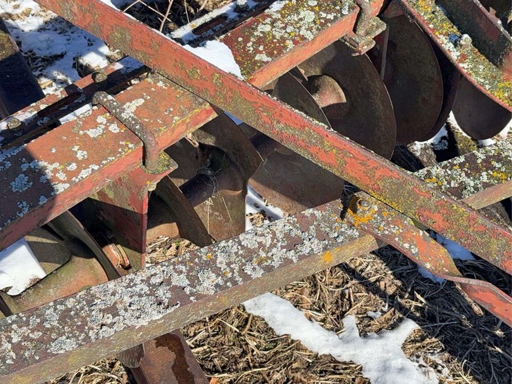 10ft-international-disc.-image-9