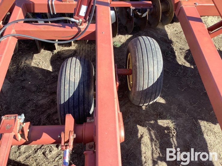 sunflower-1434-26-image-16