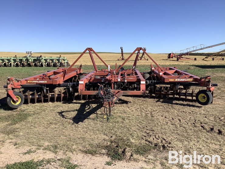 sunflower-1434-26-image-2