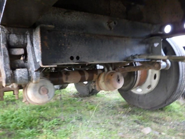 great-dane-48-image-12