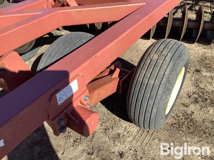 sunflower-1434-26-image-15